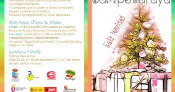 Programa Camponaraya Navidad 2019